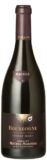 Domaine Michel Magnien Bourgogne Pinot Noir 2021 750ml