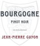 Domaine Jean-Pierre Guyon Bourgogne Rouge 2021 750ml
